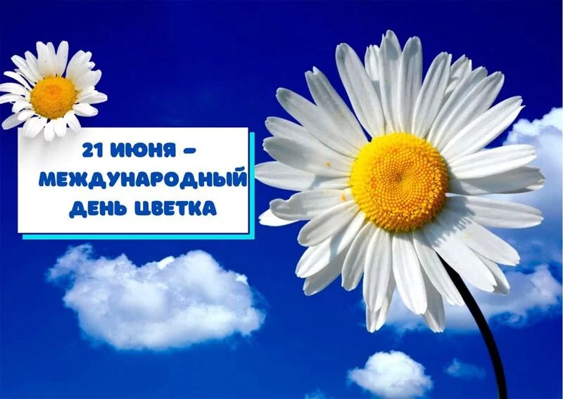Загородная жизнь - обустройство на своей земле во всем ее разнообразии