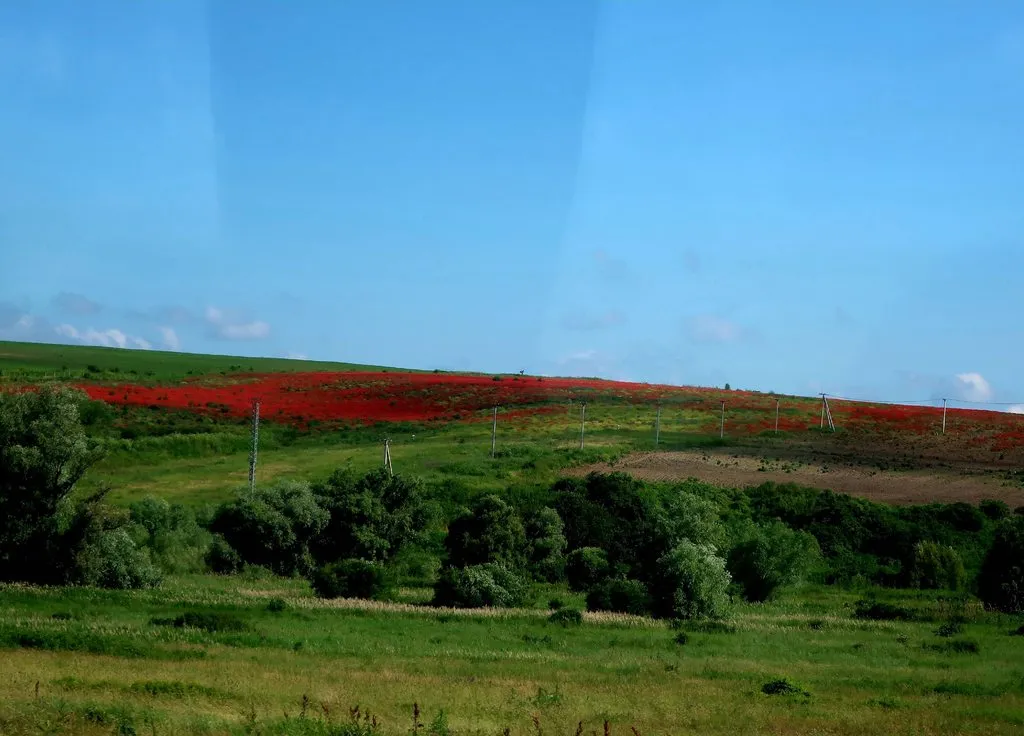 Чайная беседка