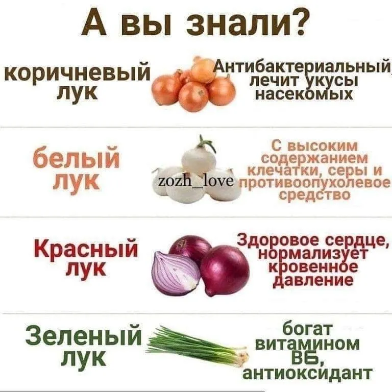 Медицинская инфографика