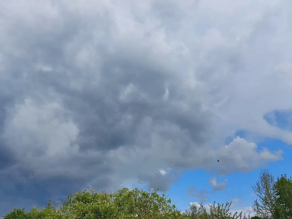 Такое разное небо