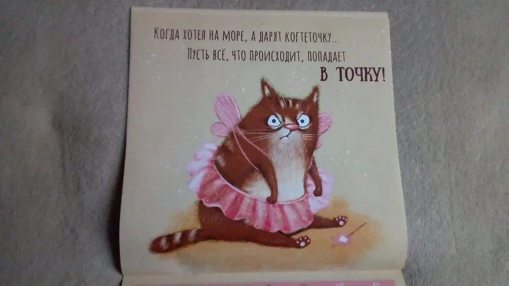 Кафе «У пани Сони»