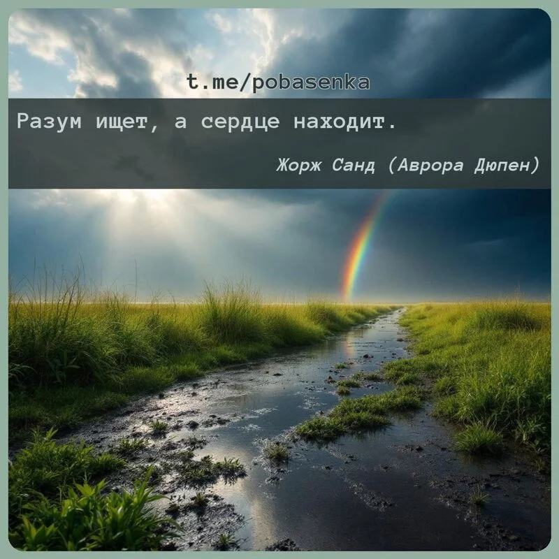 «Разум ищет, а сердце...» height="550" width="550"