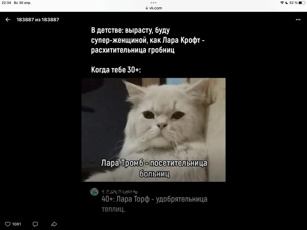 Кошичкина полиция