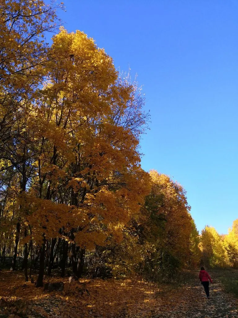 Чайная беседка