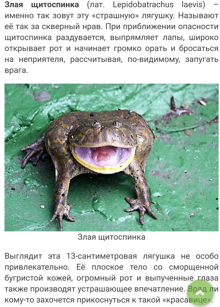 Вышивка крестиком