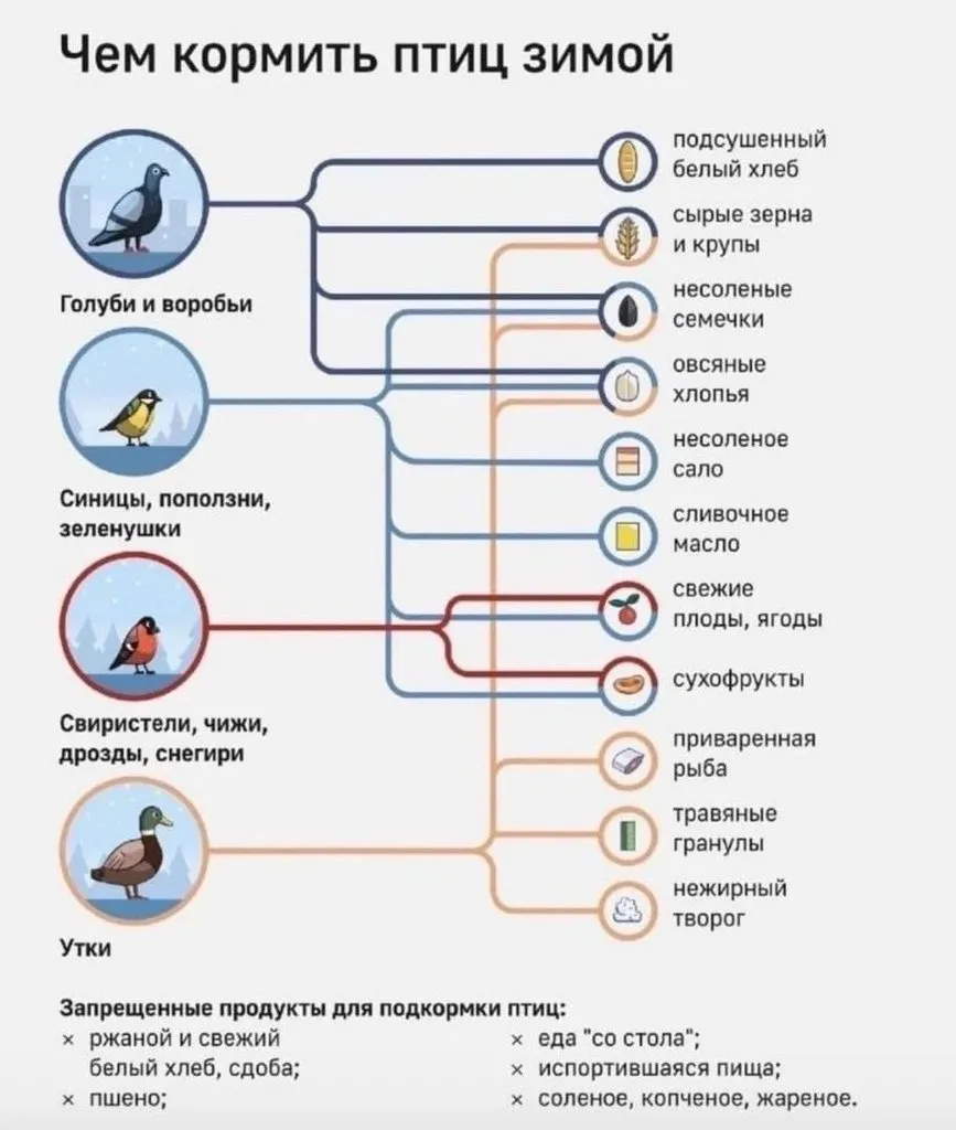Домашняя инфографика