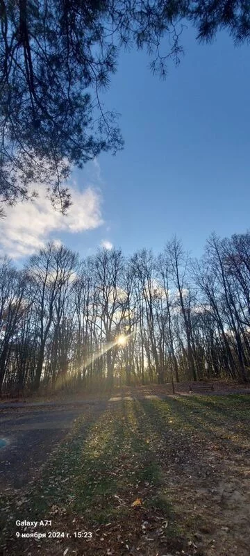 Чайная беседка