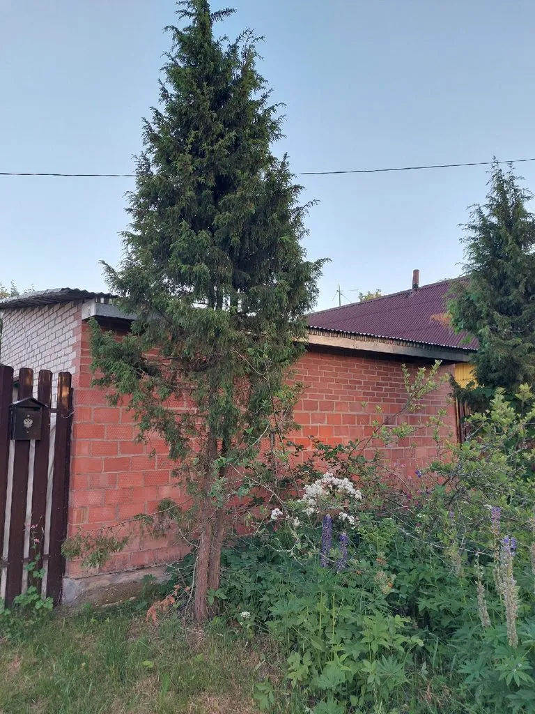 Кафе «У пани Сони»