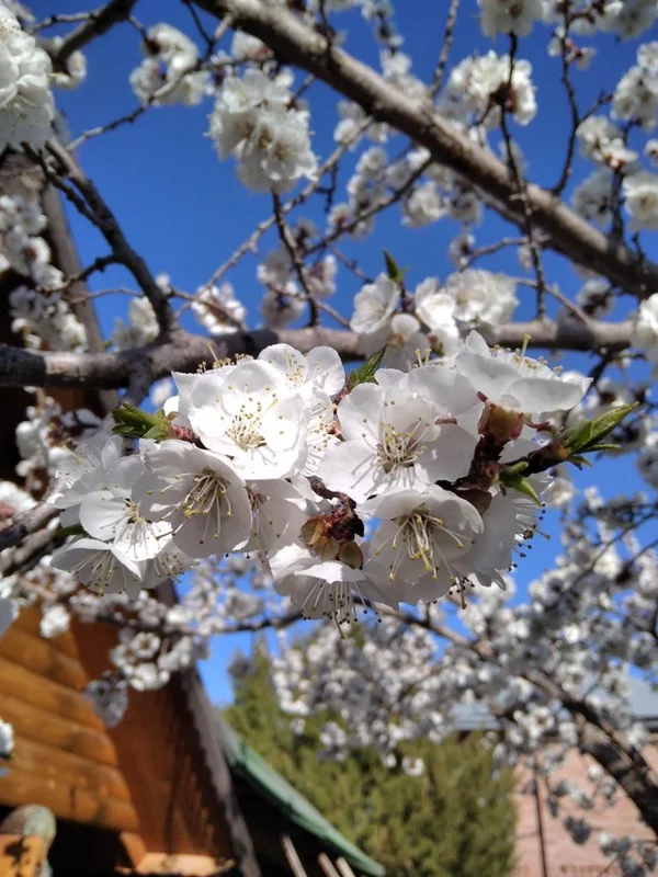 Фотонастроение