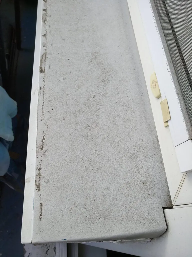 Tapтaлeтки & Ко