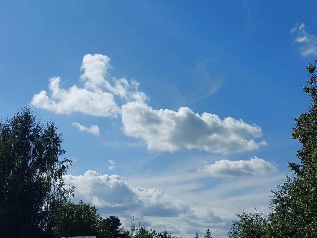 Такое разное небо