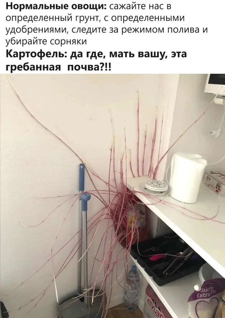 Посмеялся сам - поделись с другом!!!