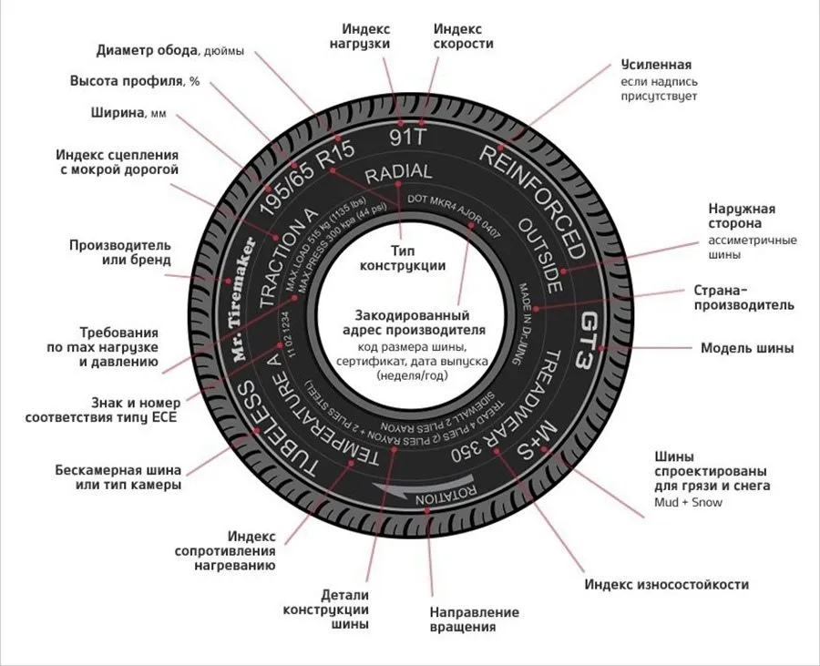 Домашняя инфографика