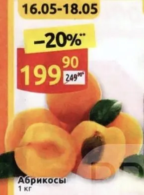 Где, что и когда купить в Москве