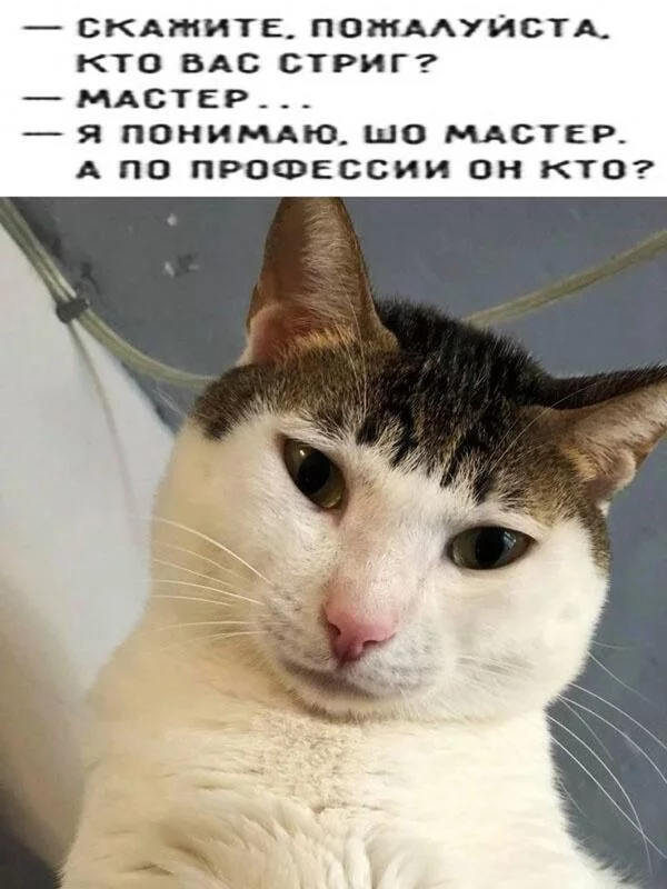Посмеялся сам - поделись с другом!!!