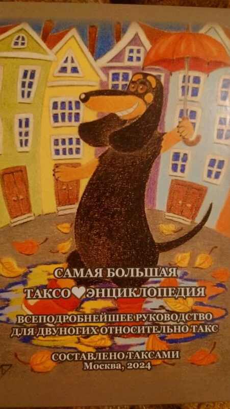Живой Журнал Жульена