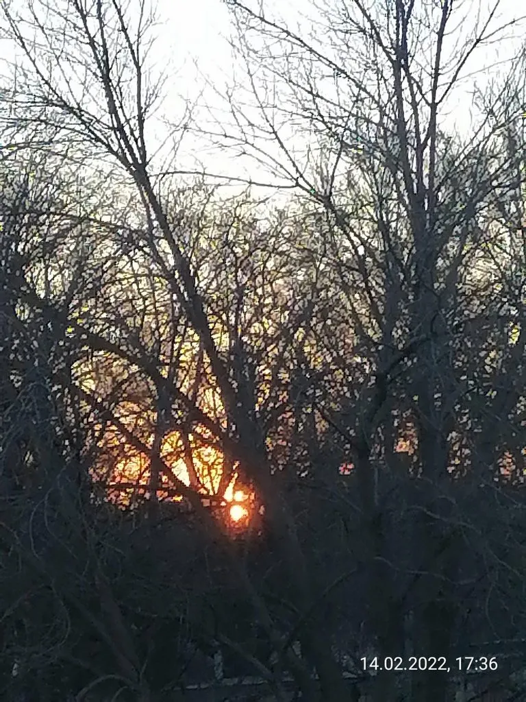 Чайная беседка