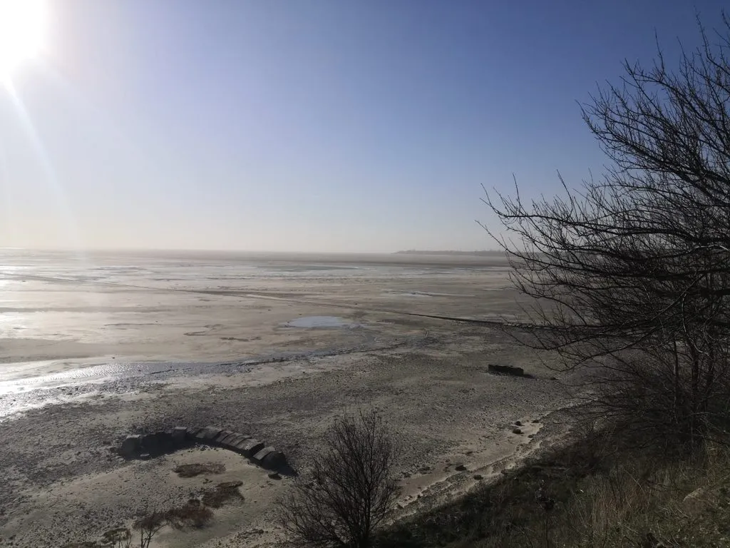 Чайная беседка