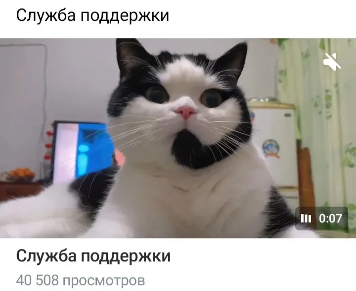 Кошичкина полиция