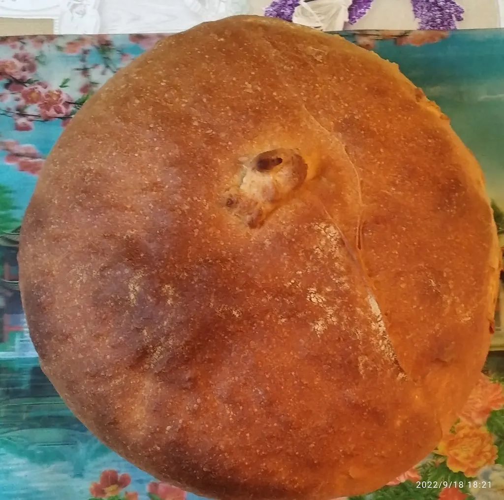 Tapтaлeтки & Ко