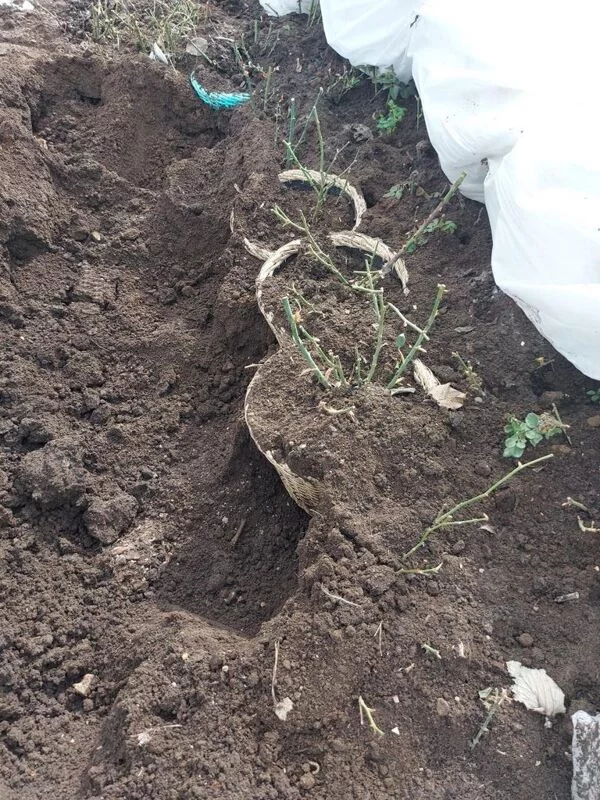 Загородная жизнь - обустройство на своей земле во всем ее разнообразии