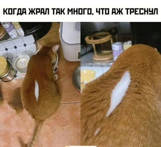Посмеялся сам - поделись с другом!!!