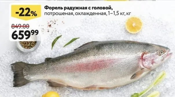 Где, что и когда купить в Москве