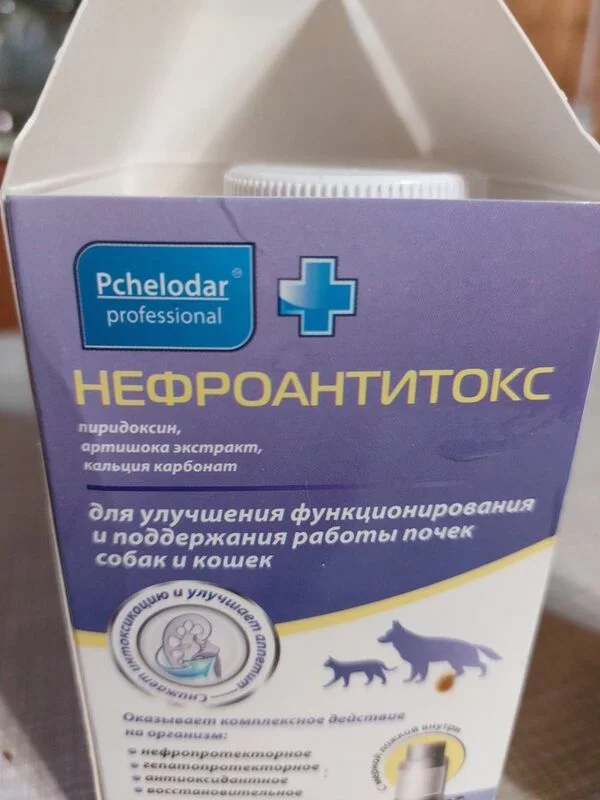 Кто сказал "Мяу"?