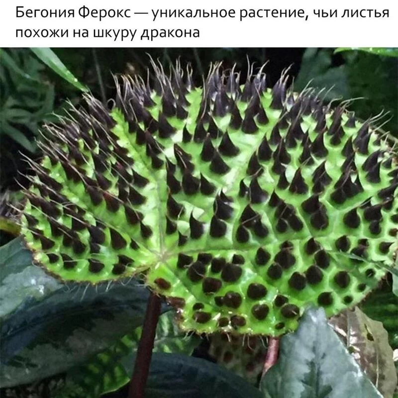 Это интересно!