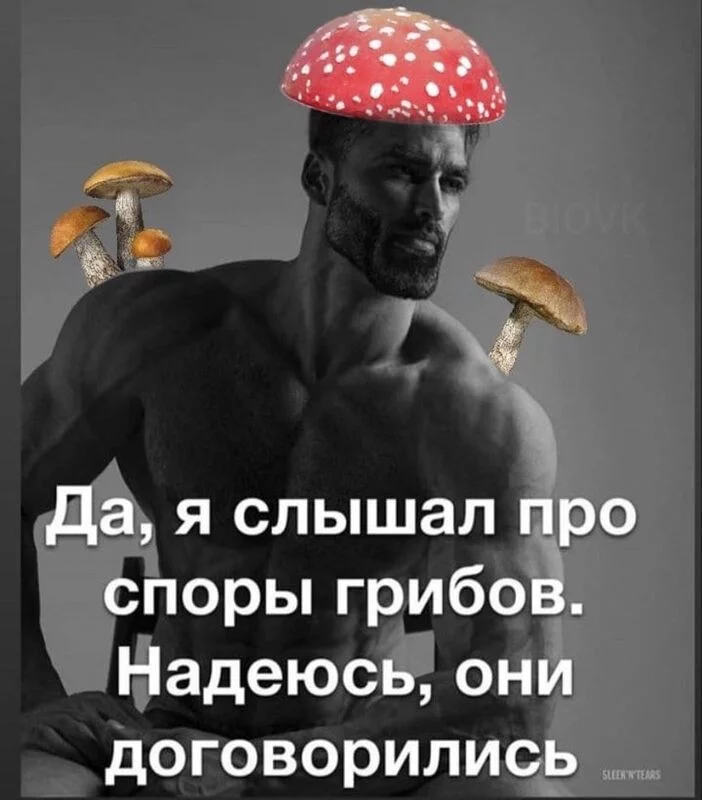 Посмеялся сам - поделись с другом!!!