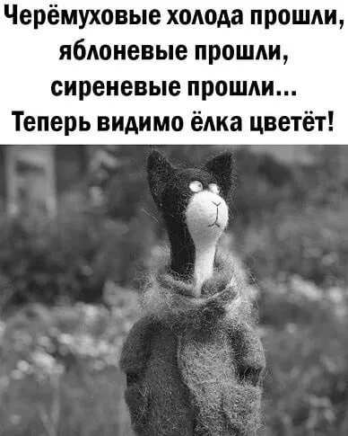 Кафе "У пани Сони"