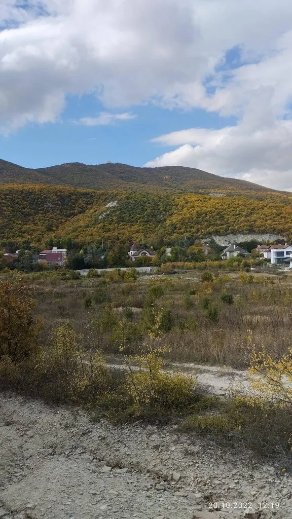 Кафе «У пани Сони»