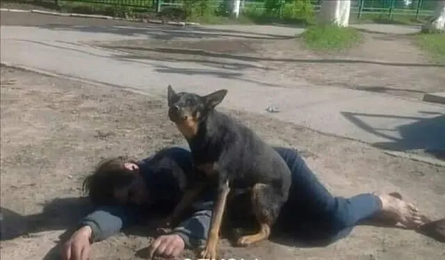 Рассказы для души