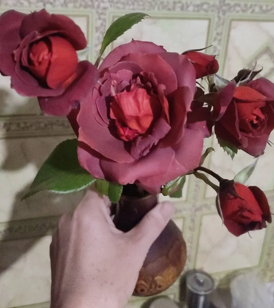 Про всё на свете с Гюзелью