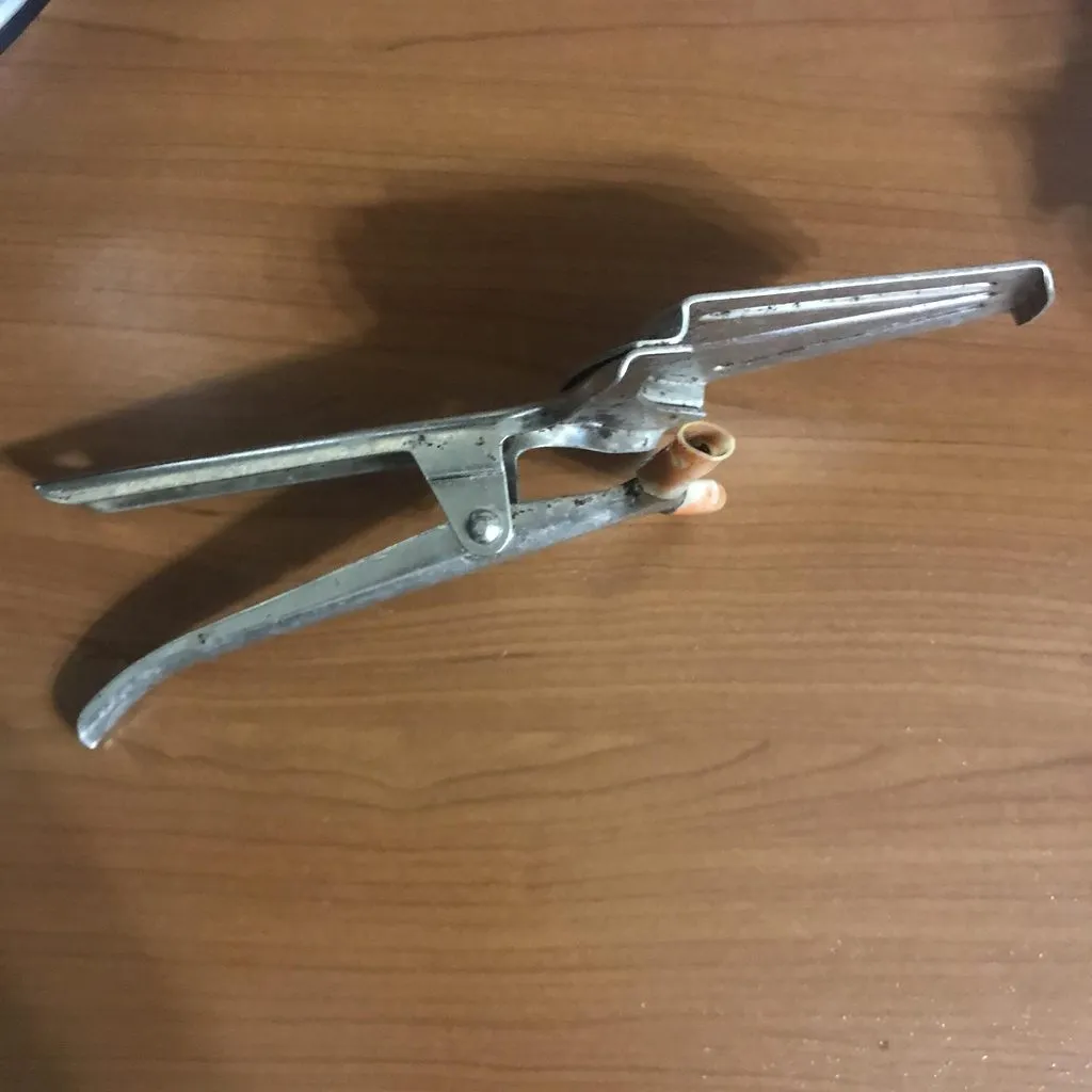 Датский венчик