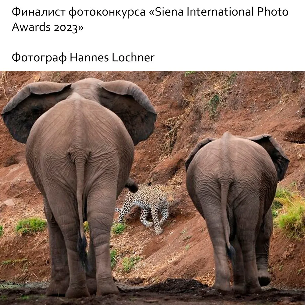 Это интересно!