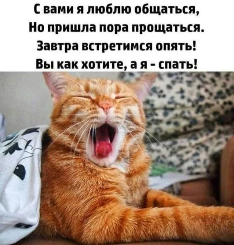 Кафе "У пани Сони"