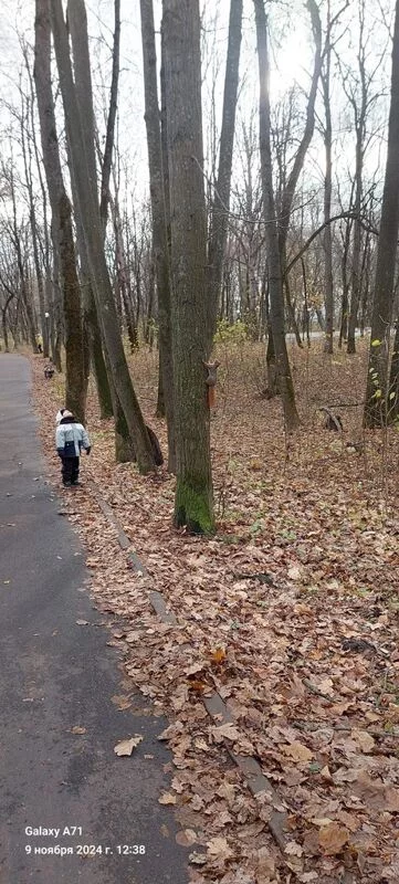 Чайная беседка