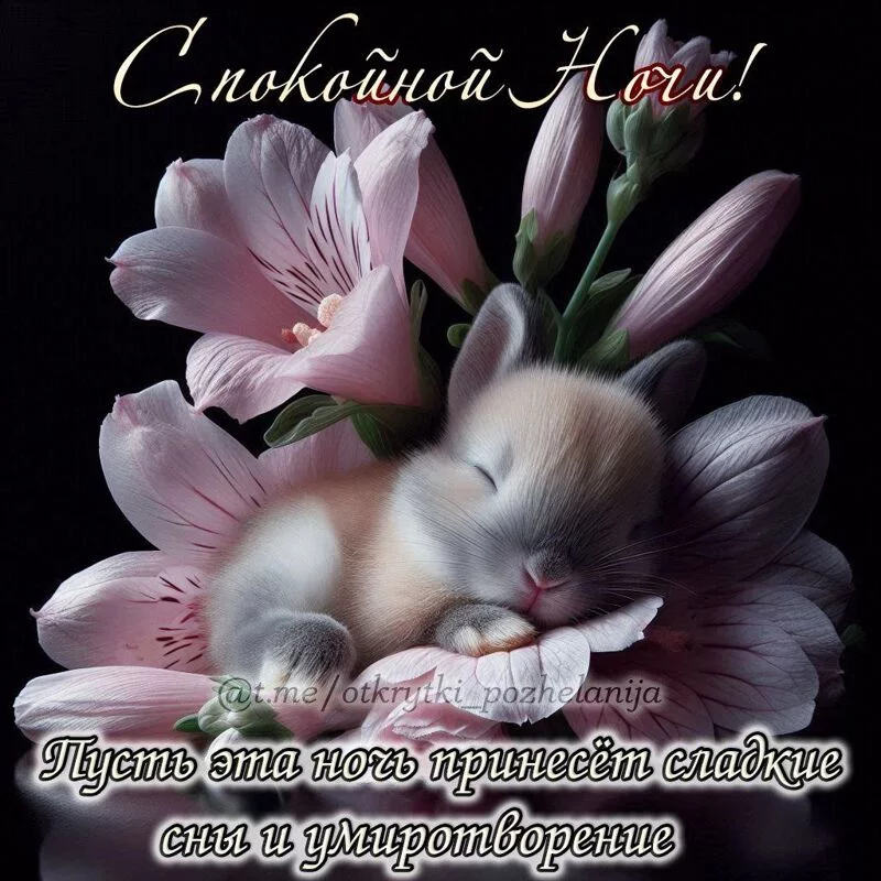 Кафе "У пани Сони"