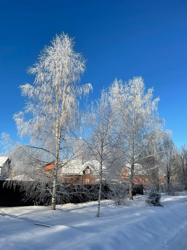 Чайная беседка
