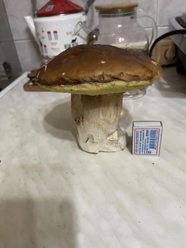 Чайная беседка