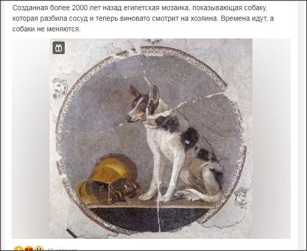 Человек собаке друг!!!