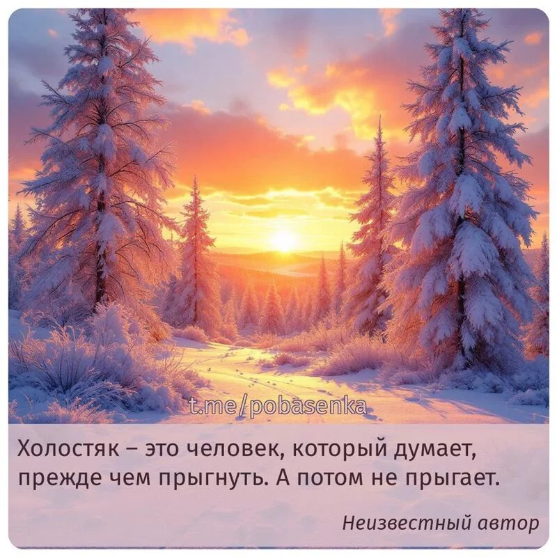 «Холостяк это человек, который думает, прежде чем прыгнуть. А потом не...» height="550" width="550"