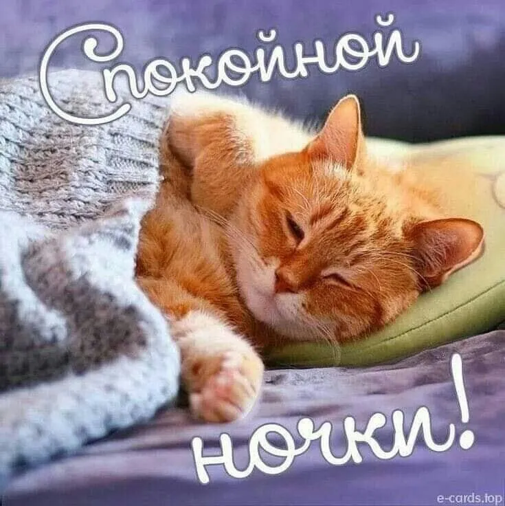 Кафе «У пани Сони»