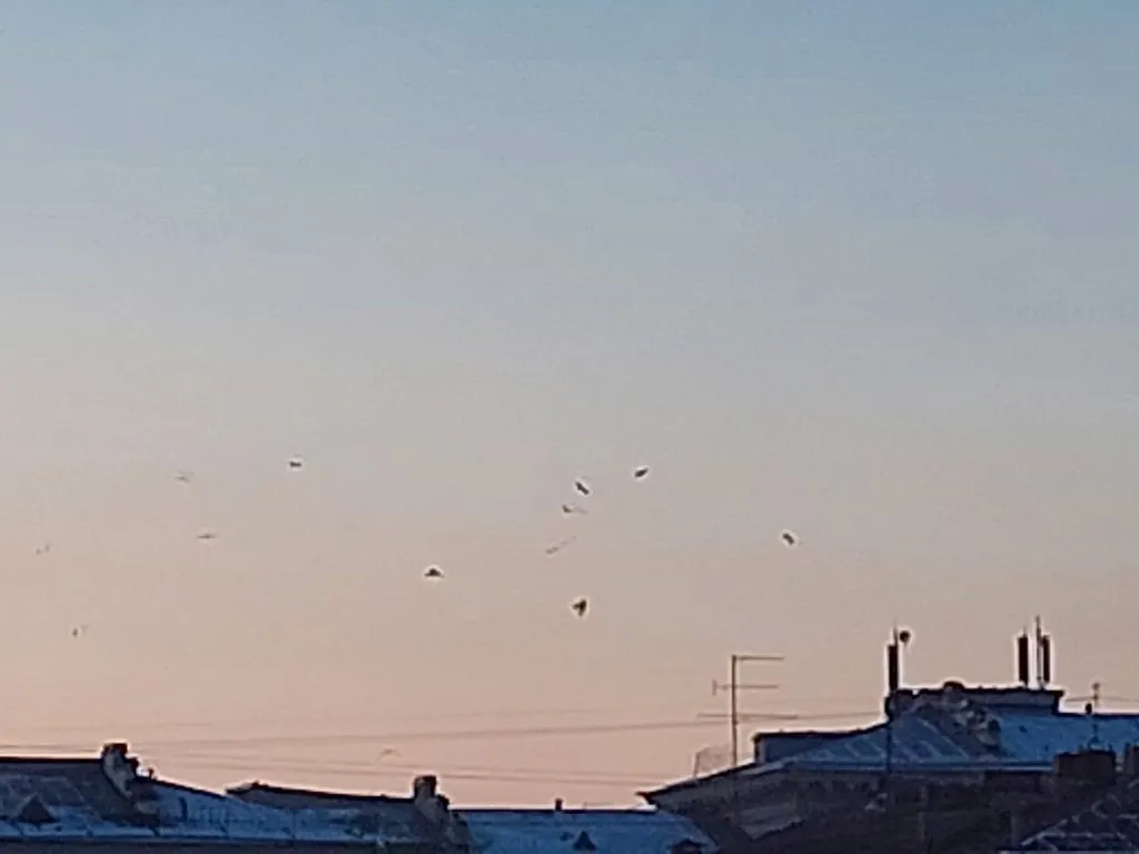Такое разное небо