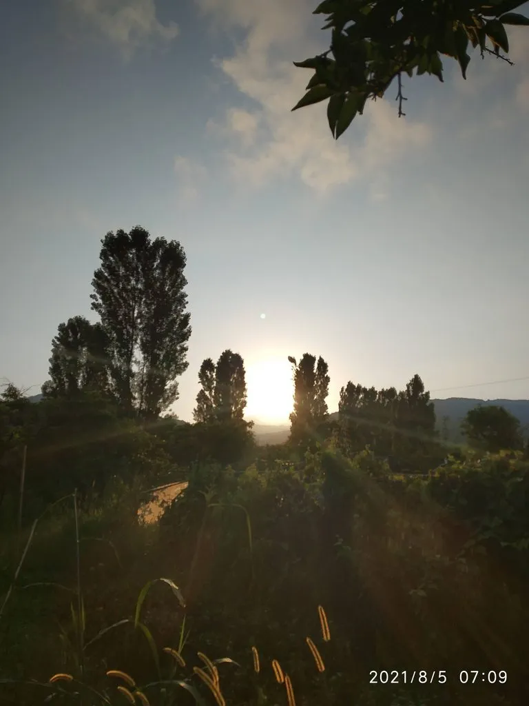 Tapтaлeтки & Ко