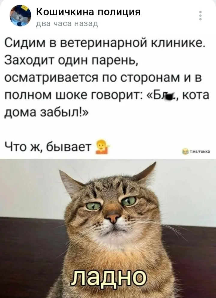 Кошичкина полиция