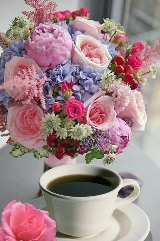 Tapтaлeтки & Ко