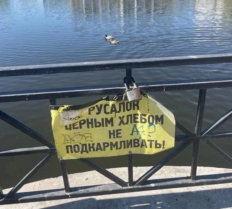Посмеялся сам - поделись с другом!!!