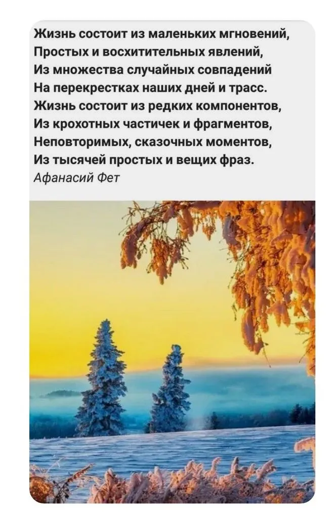 Кафе «У пани Сони»
